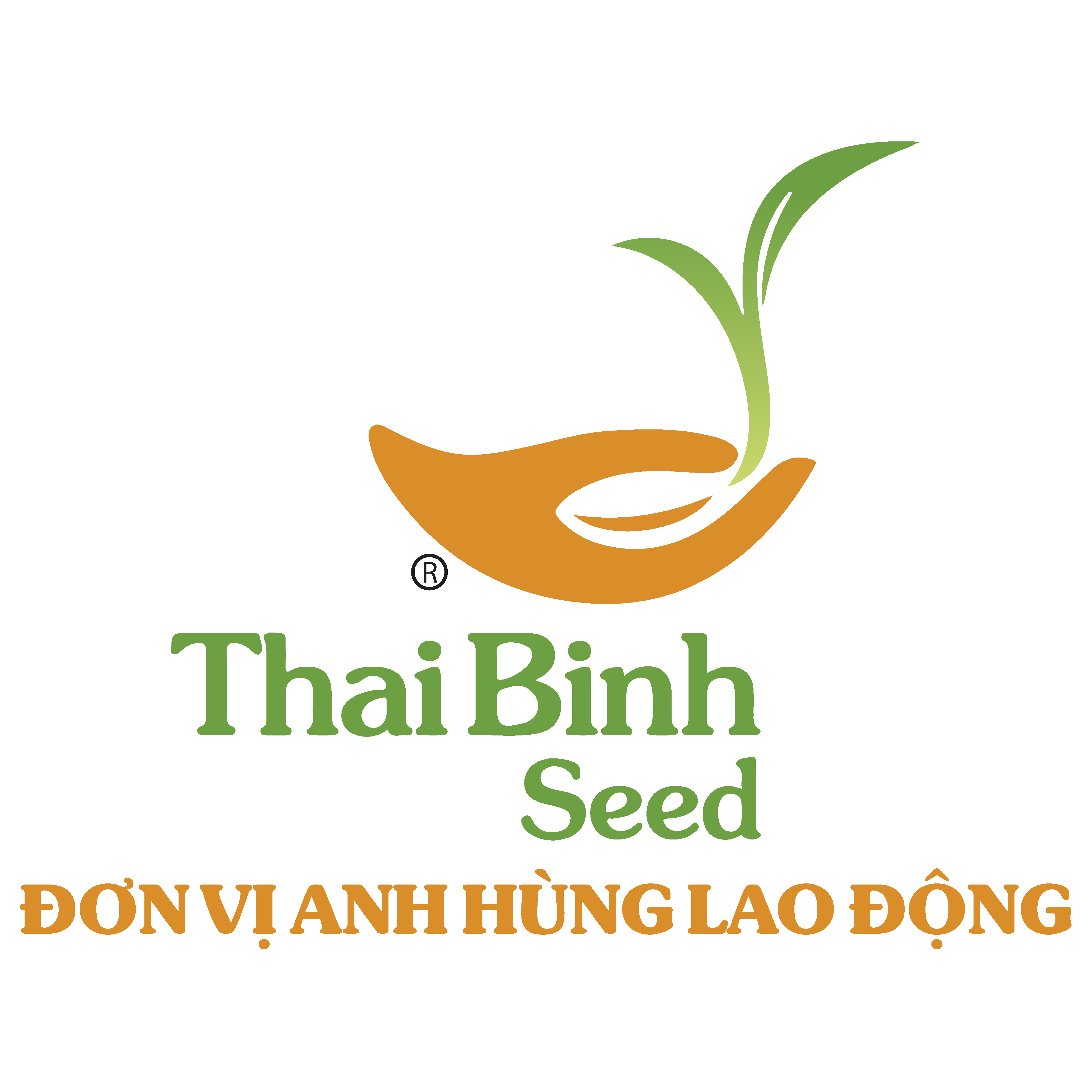 ThaiBinh Seed
